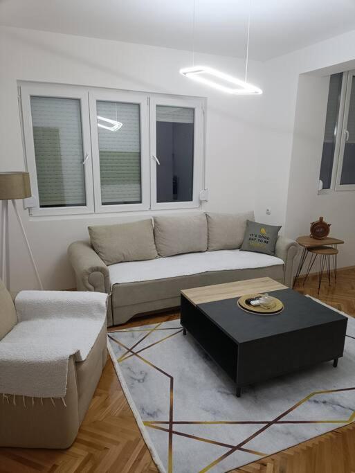 Apartment Big